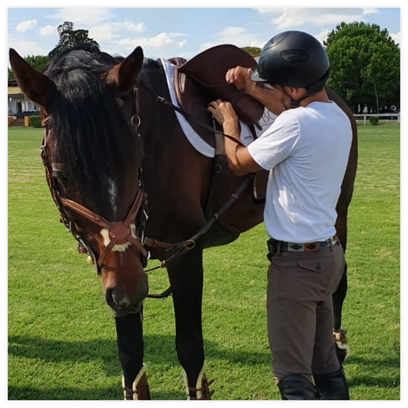 Contactar a un saddle fitter